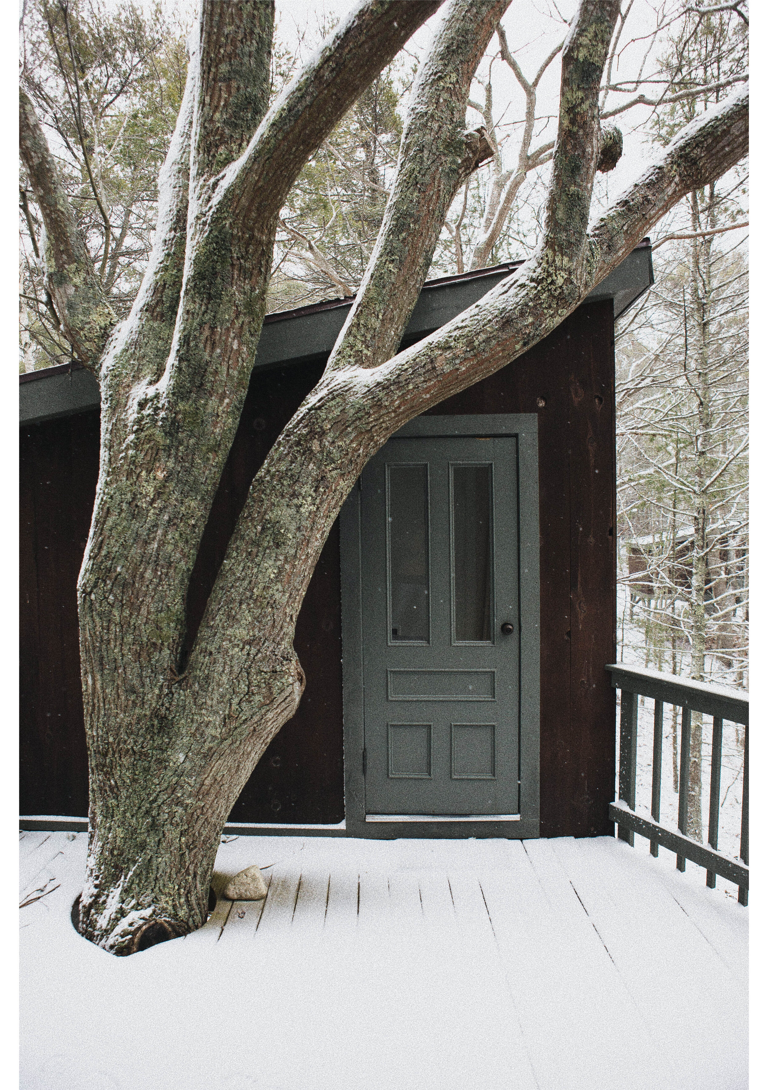 Treehouse Winter Tree Deck