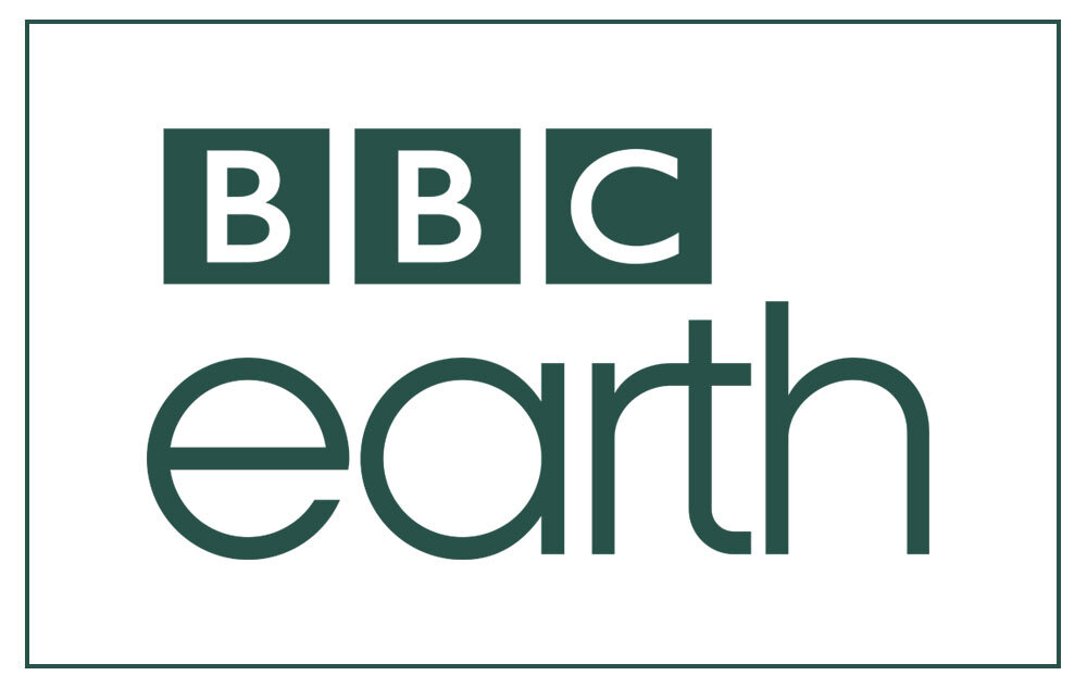Seguin Tree Dwellings Press coverage BBC earth
