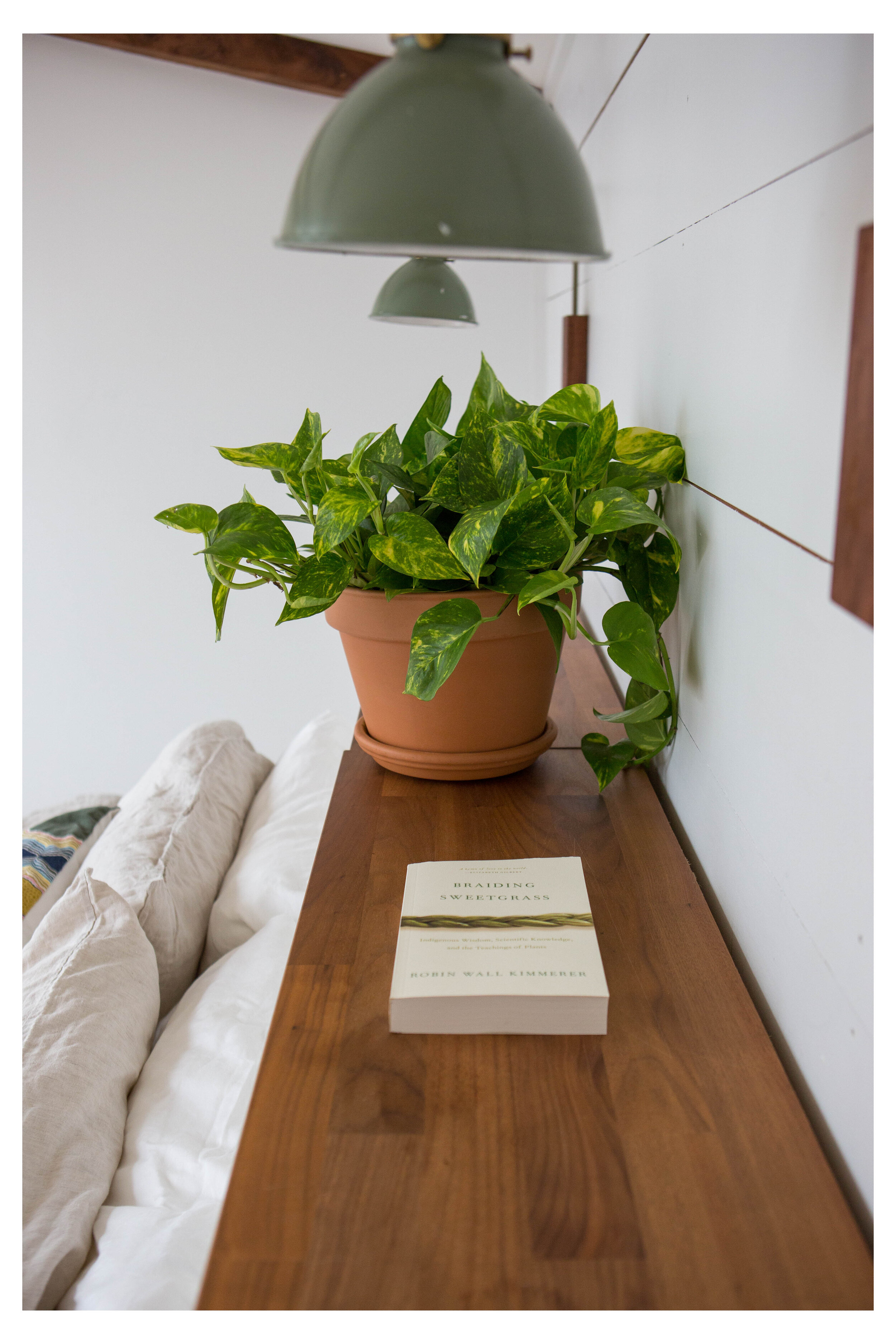 Treehouse bedroom book plant sconces