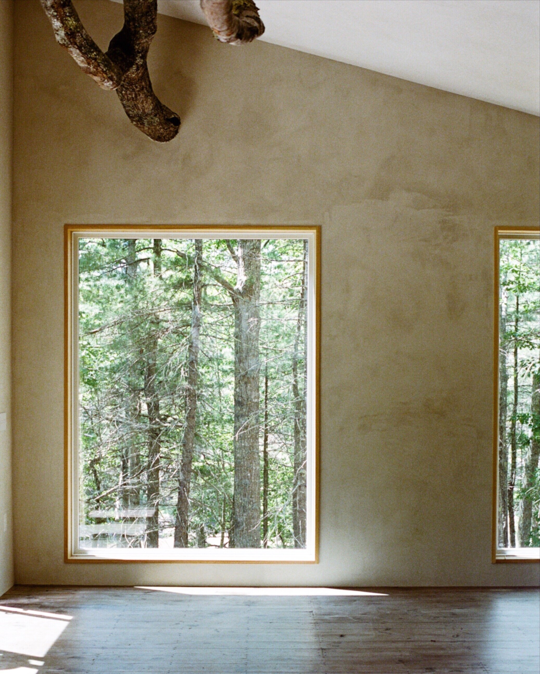 Seguin Maine Gathering Space Treehouse Tree Window