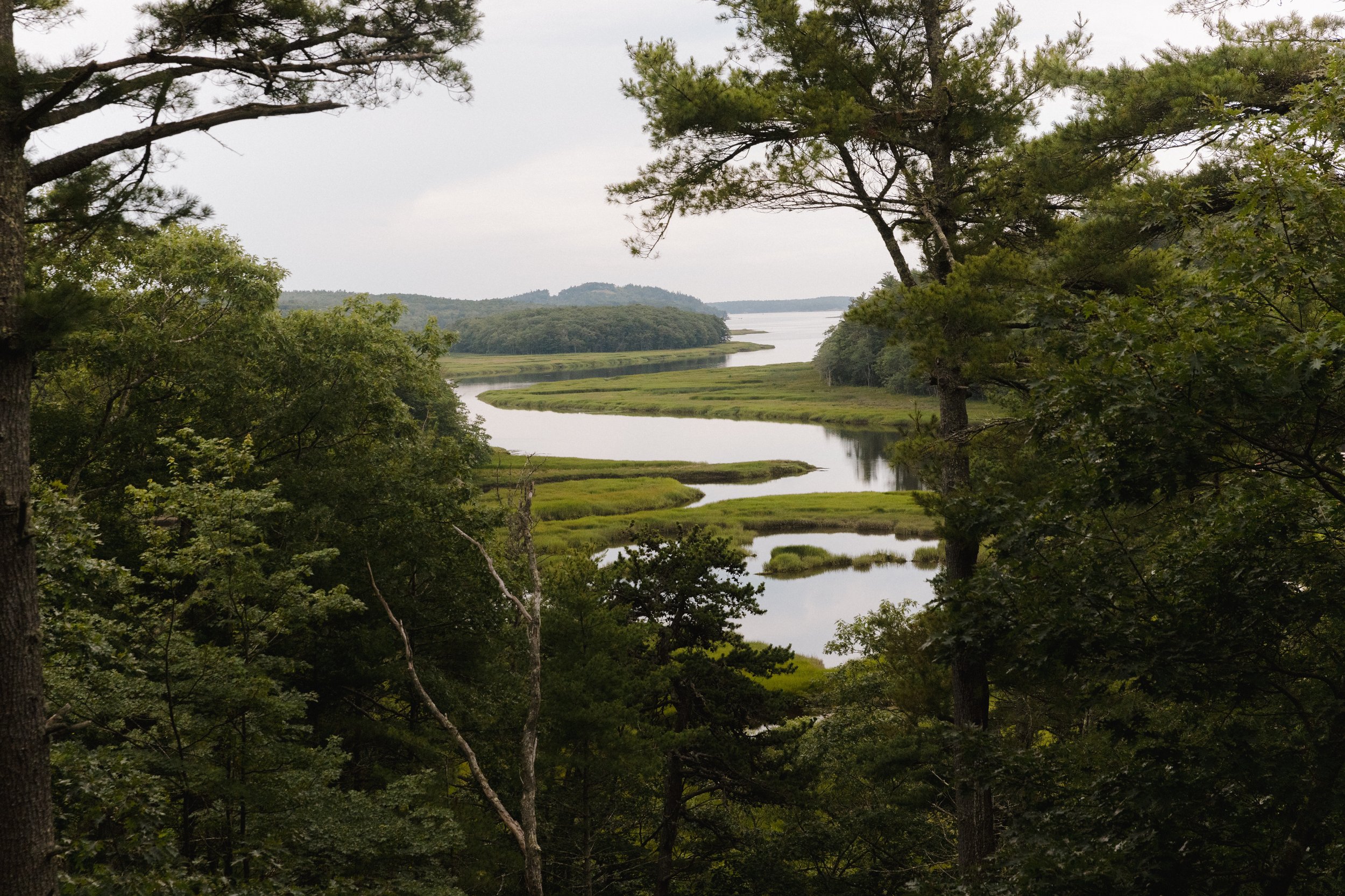 Seguin Tree Dwellings View Back River Georgetown Maine