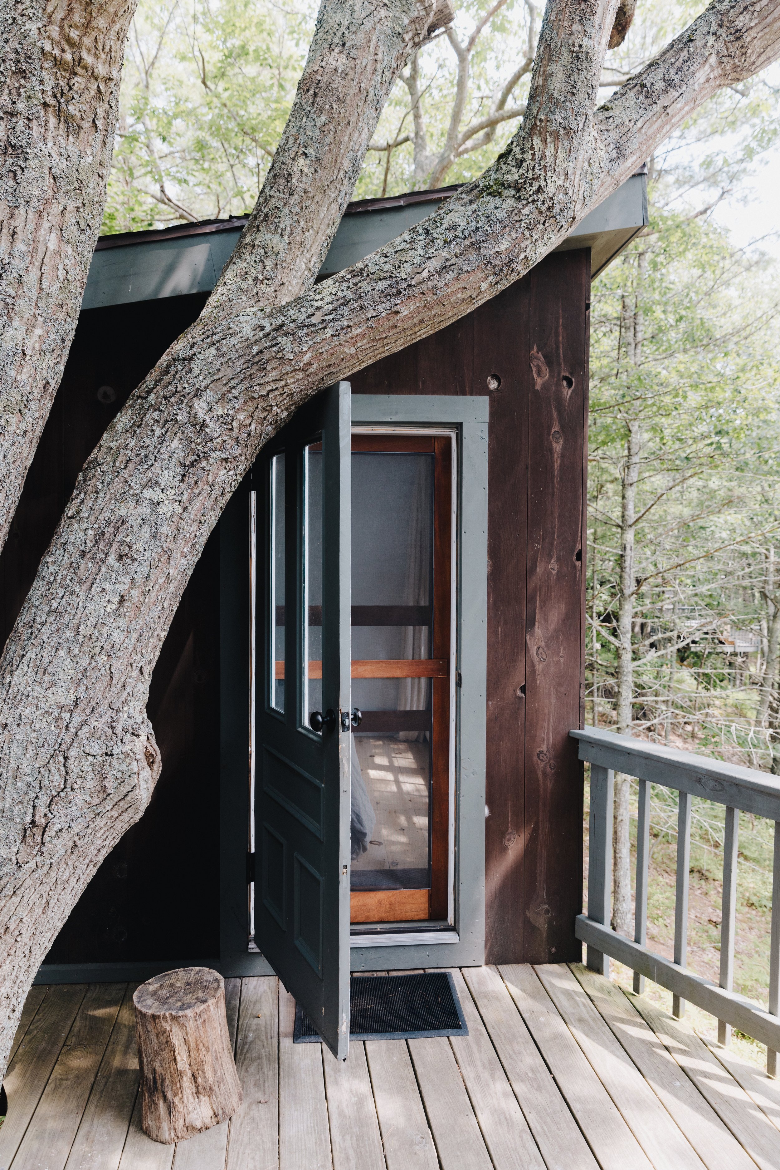 Madawaska Treehouse Bedroom Tree