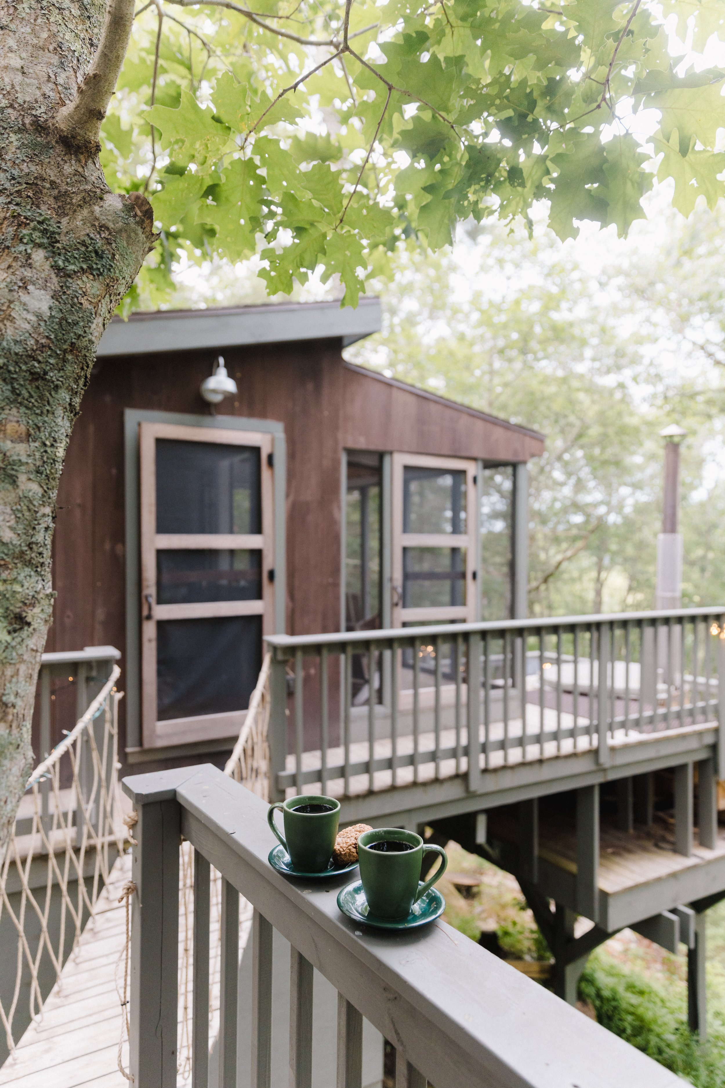 Treehouse Vacation Rental Georgetown Maine Rope Bridge View