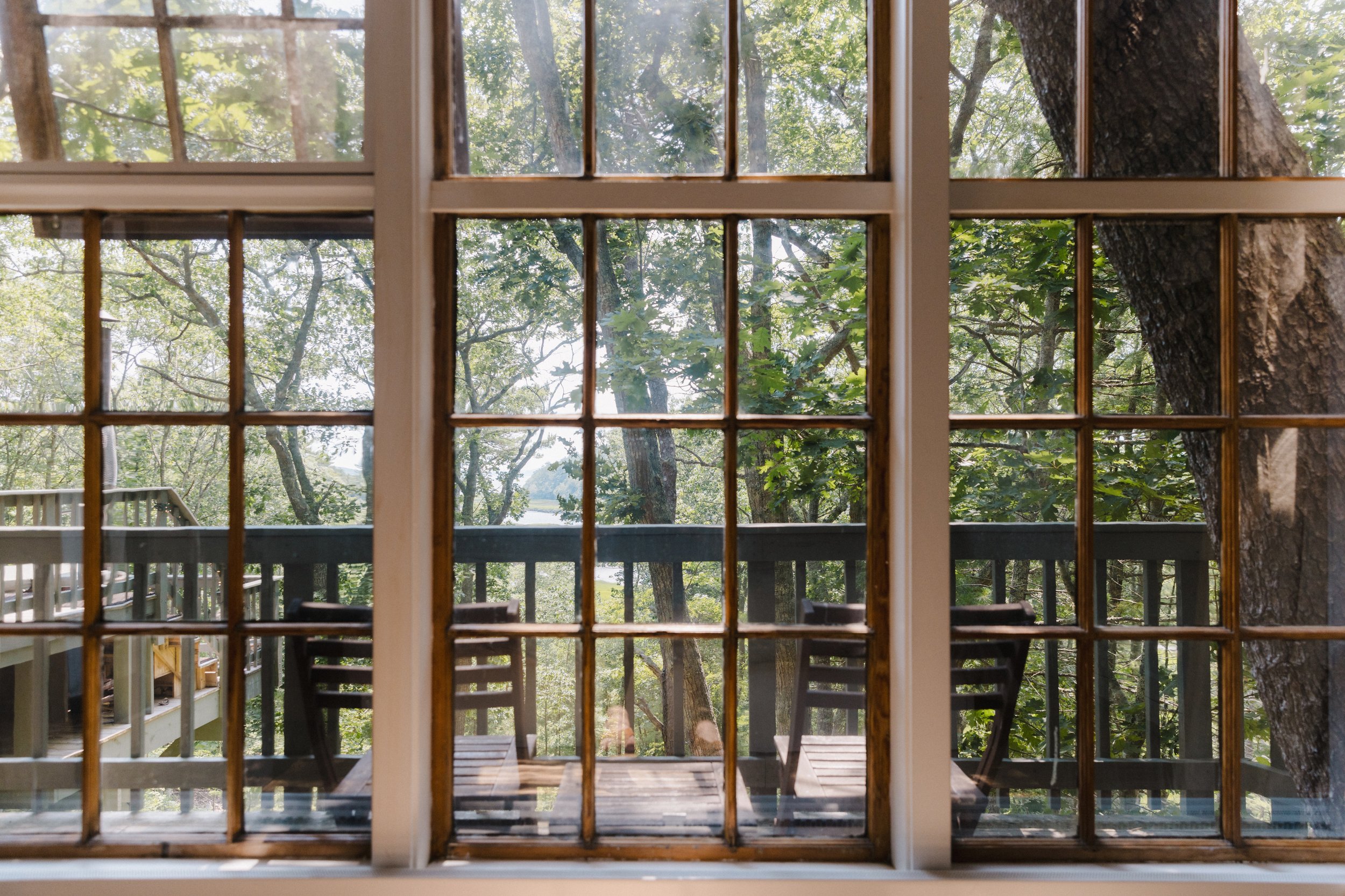 Treehouse bedroom view Seguin Tree Dwellins on the Cost of Maine