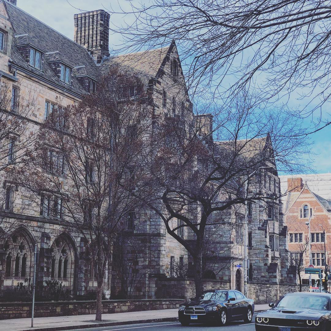 Yale02.jpg
