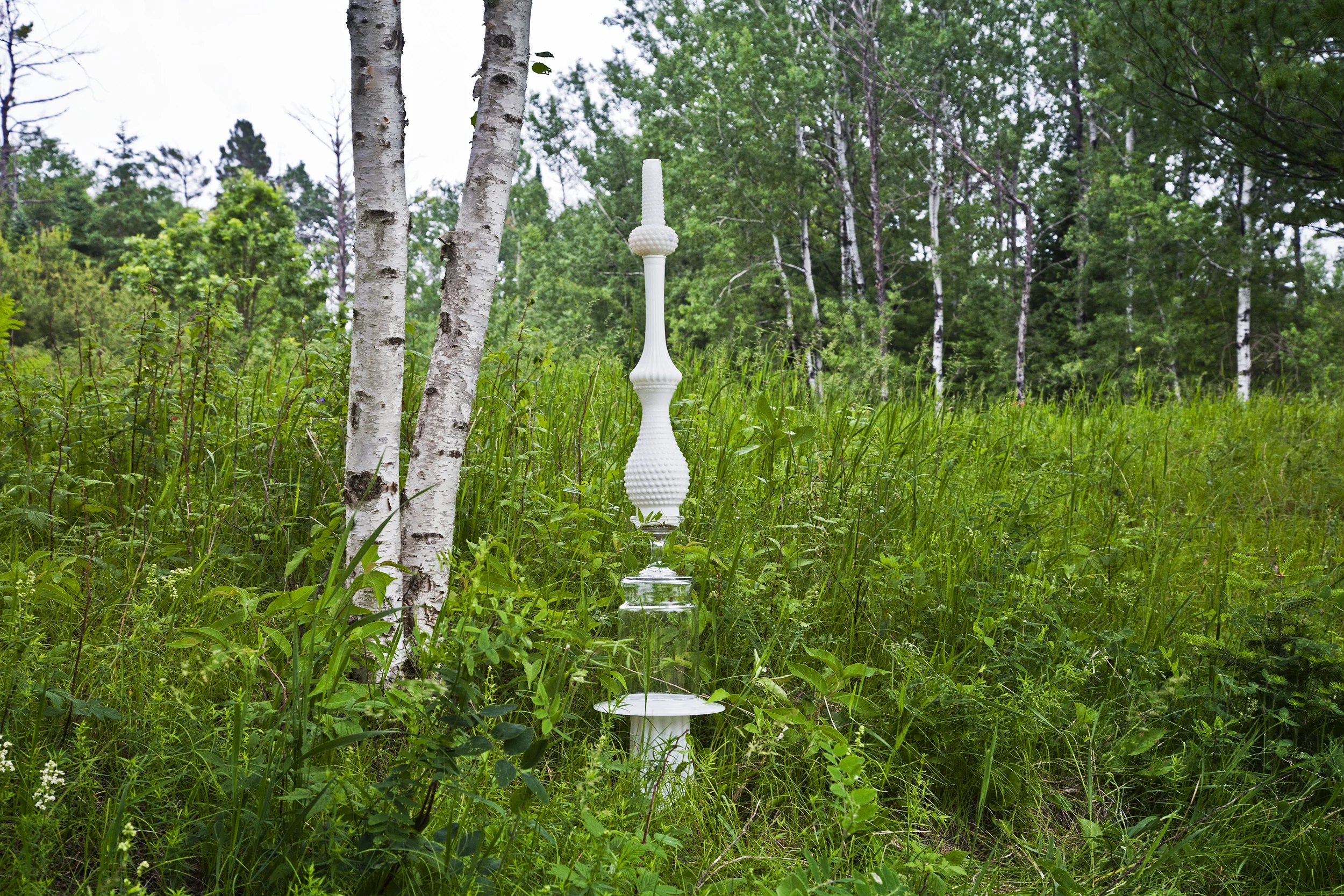 BIRCH BONES 1