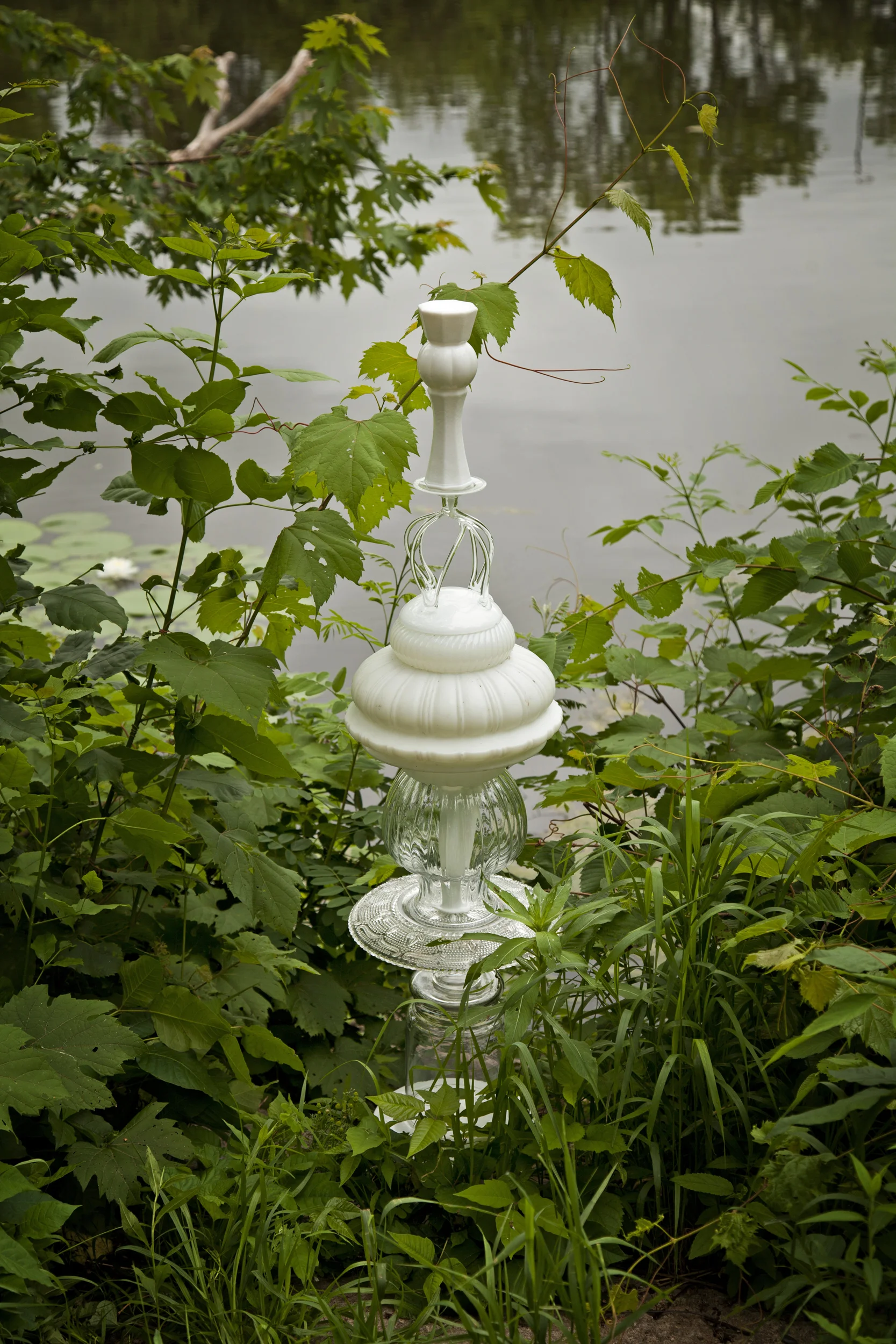 LILY PAD AND POISON IVY