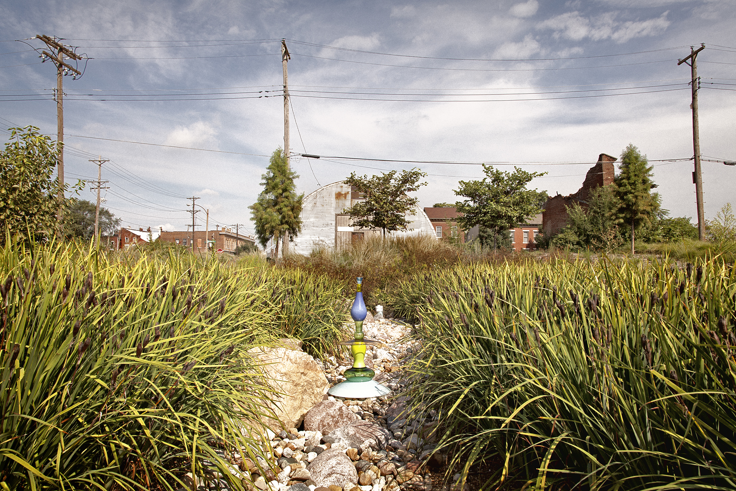 FLOWer RAIN GARDEN