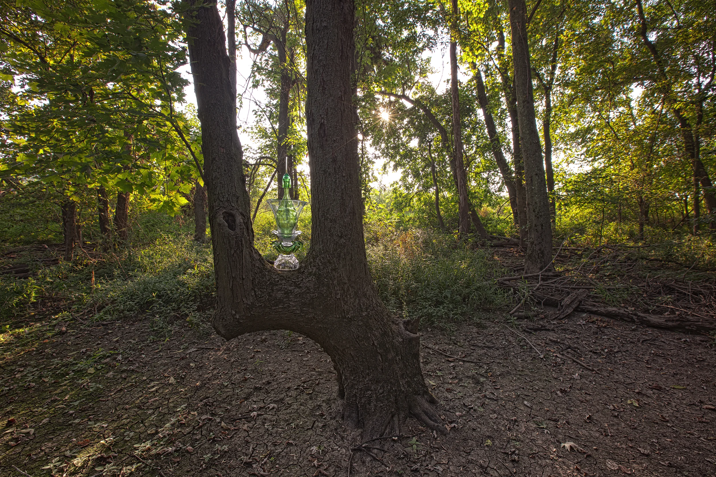 SILVER CREEK SPIRE-TREE