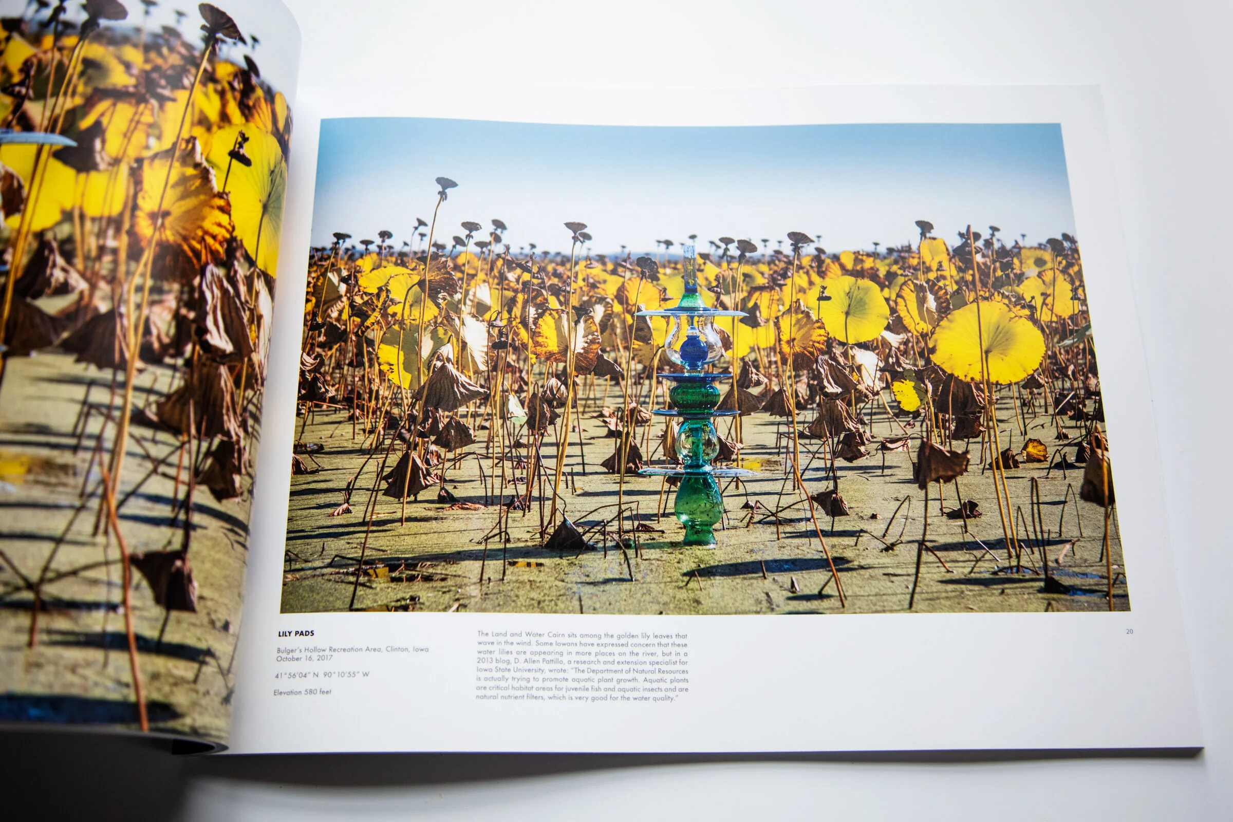 b.jpg