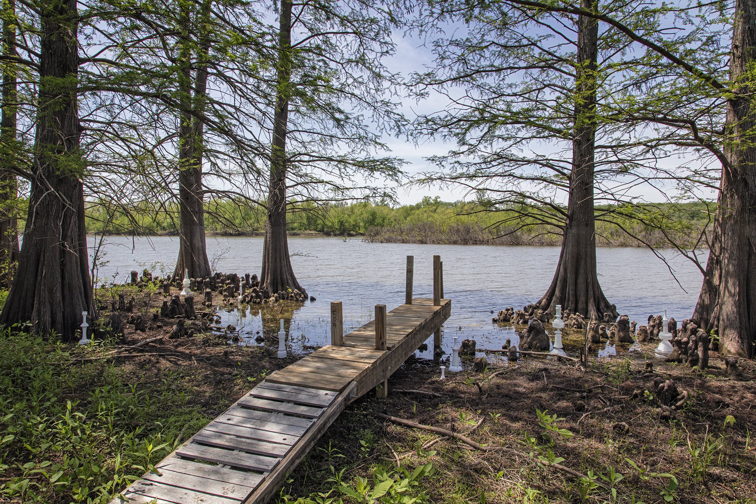 Stump Lake Knees