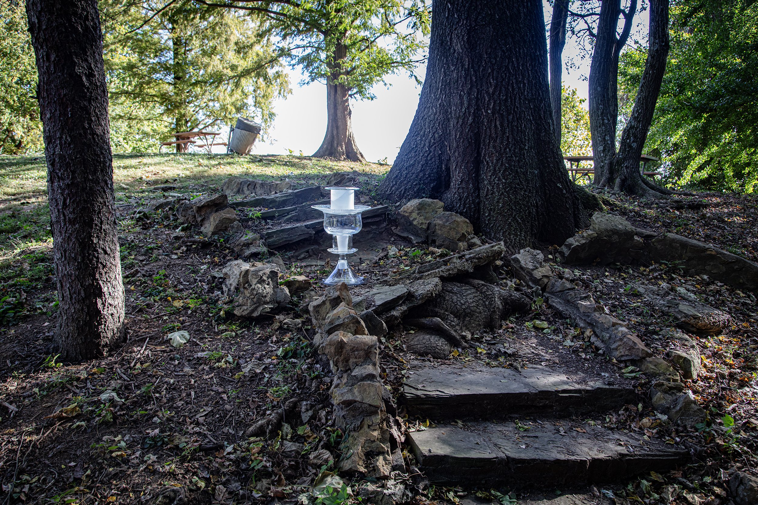 Toadstool Steps