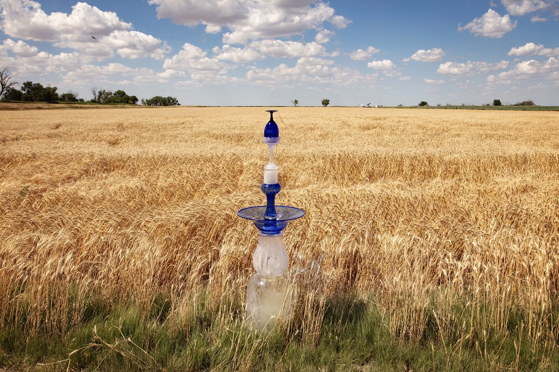 Wheat Field