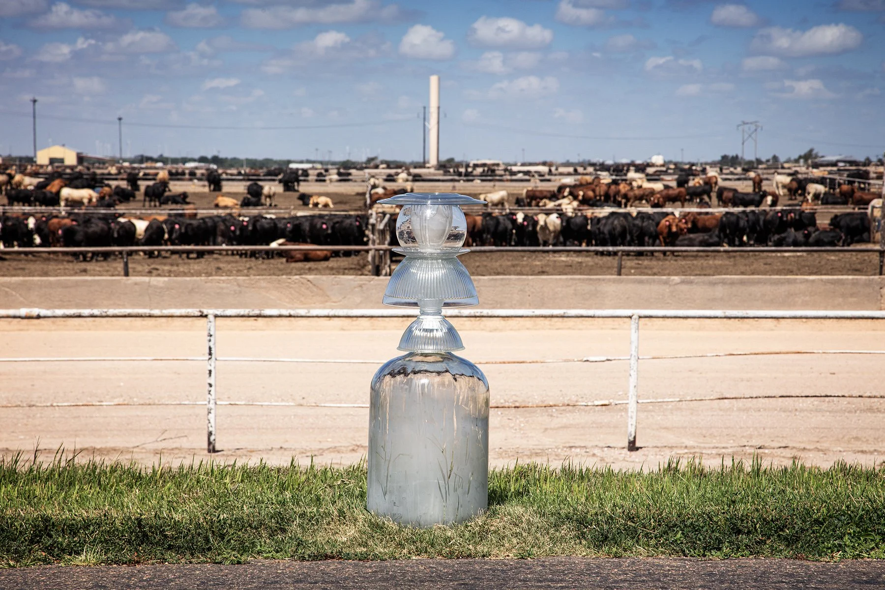 Ford County Feed Lot