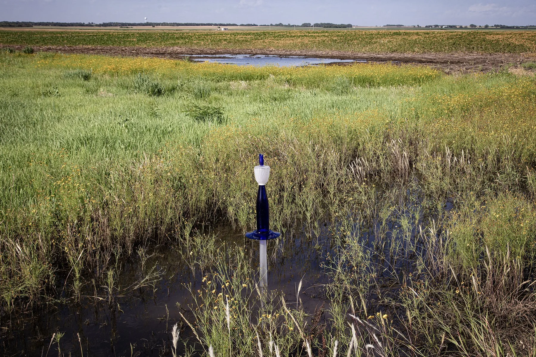 Flooded Field
