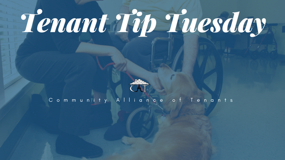 Tenant Tip Tuesday disability.png