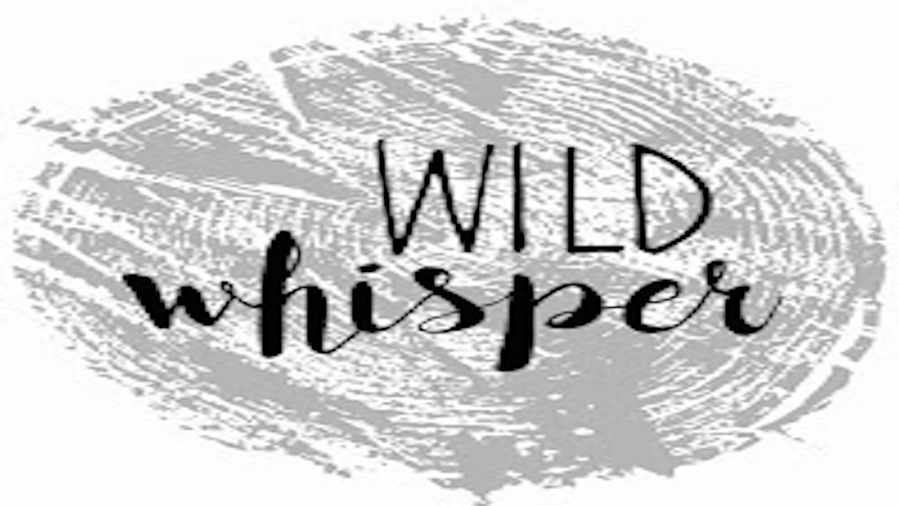 Wild Whisper DT 
