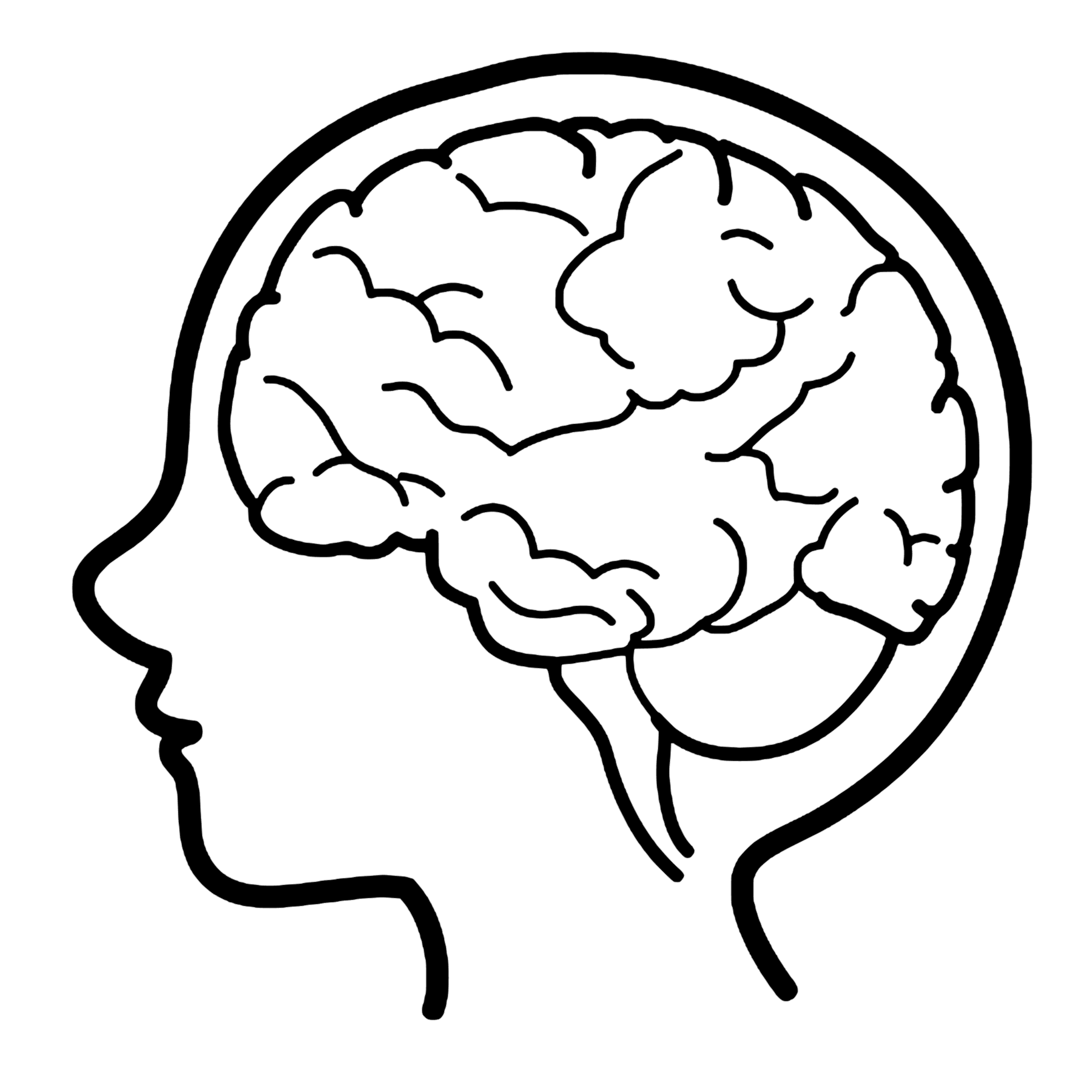 ***Digital*** Brain Cut File 