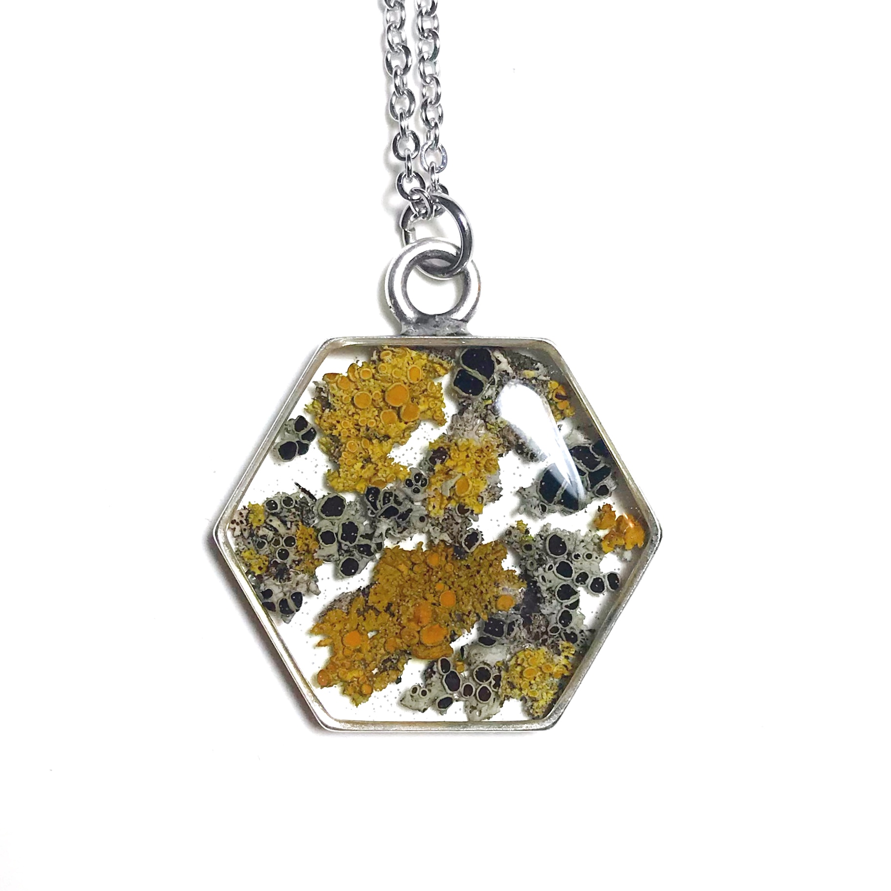 lichen+metal+hex.jpg