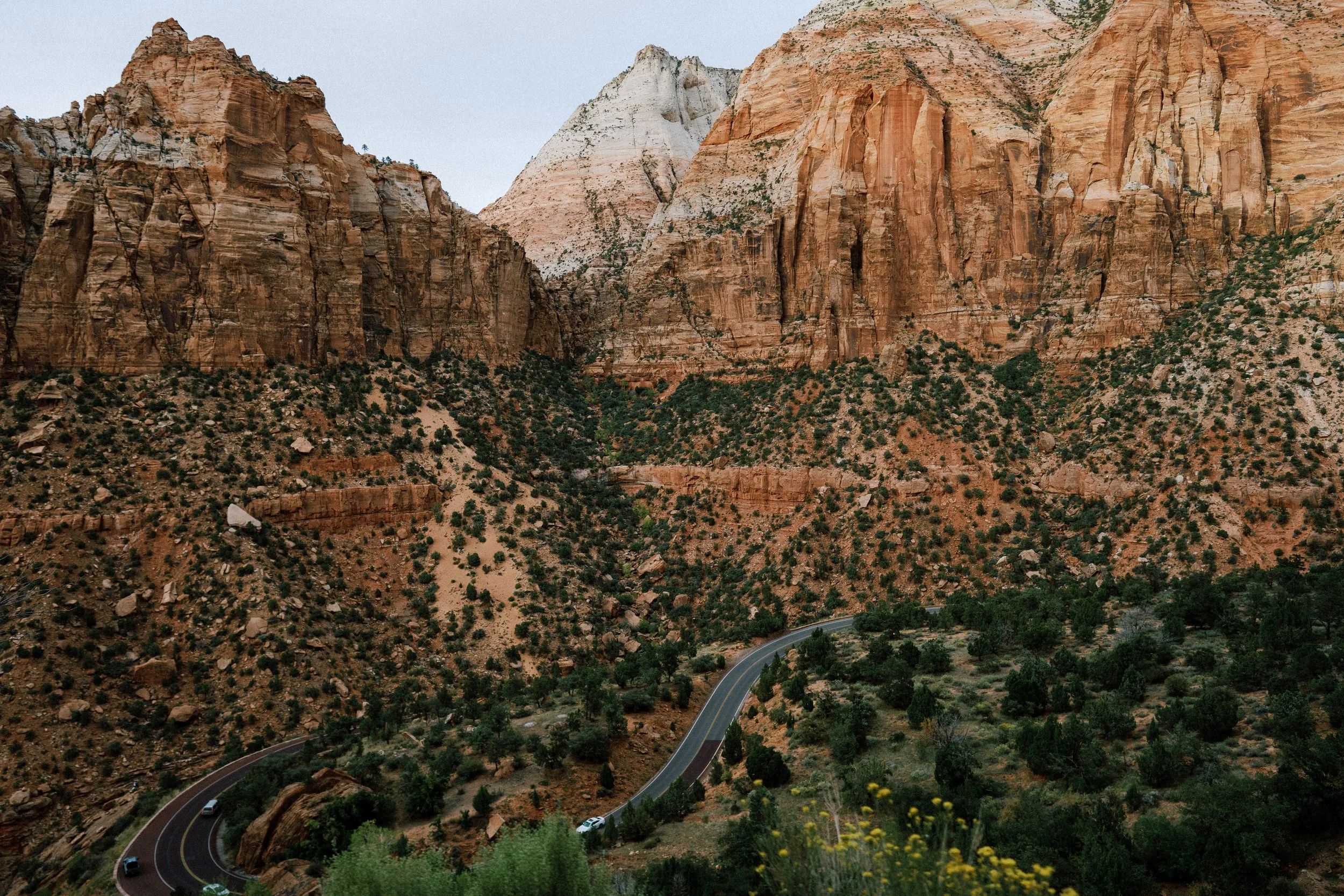 Zion-135.jpg
