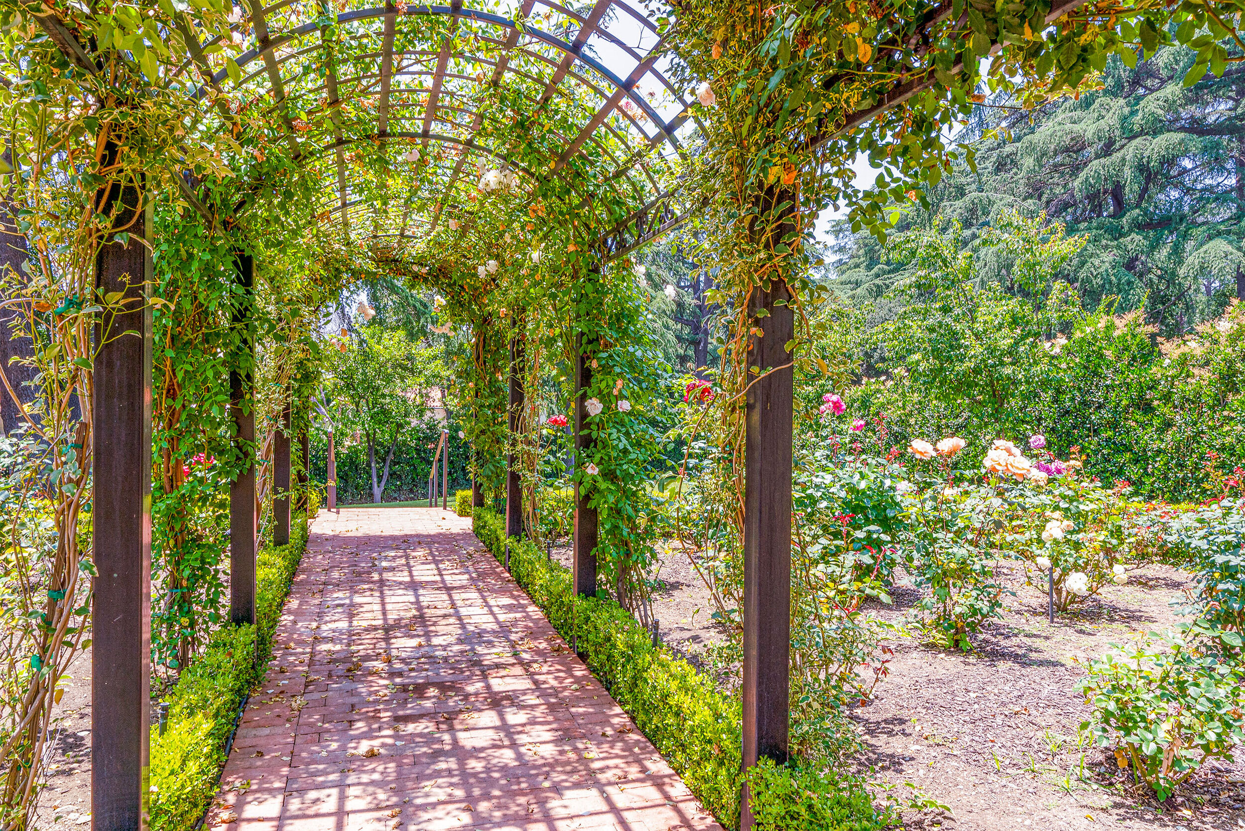 2019_06_22_1600_Fairmount_Ave_097.jpg