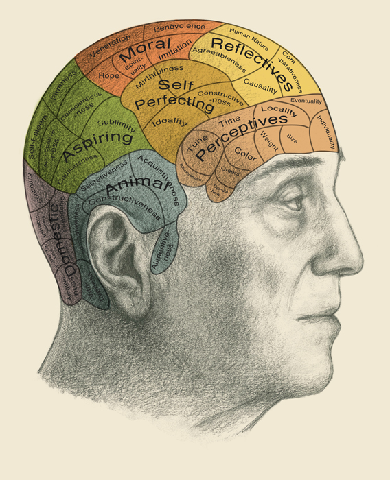 Phrenology (not scientific)