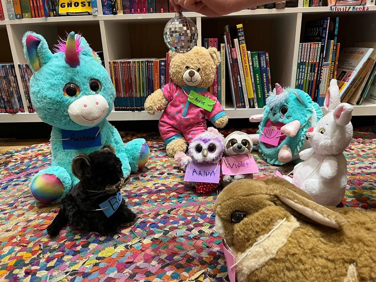 Stuffy Sleepover