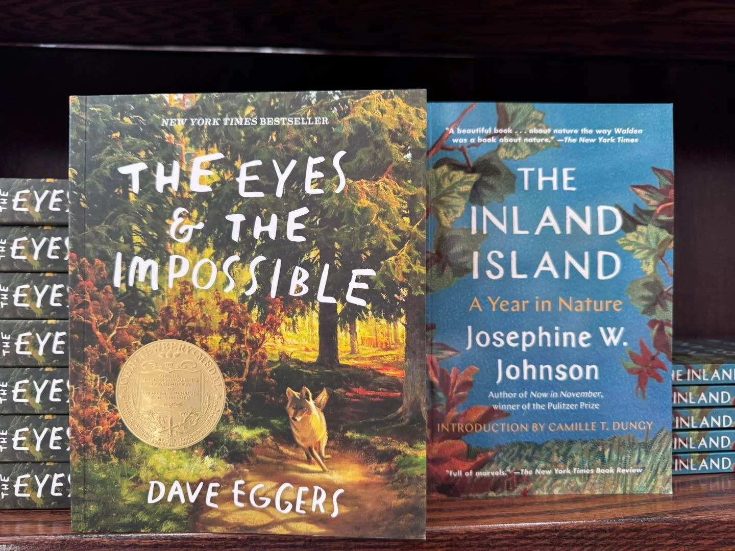 November book club picks are now available in the shop for 15% off. 
Our fiction club will discuss the Newberry Medal-winning middle grade novel “The Eyes and the Impossible” by Dave Eggers at 7pm on Wednesday 11/19. 
Our nonfiction club