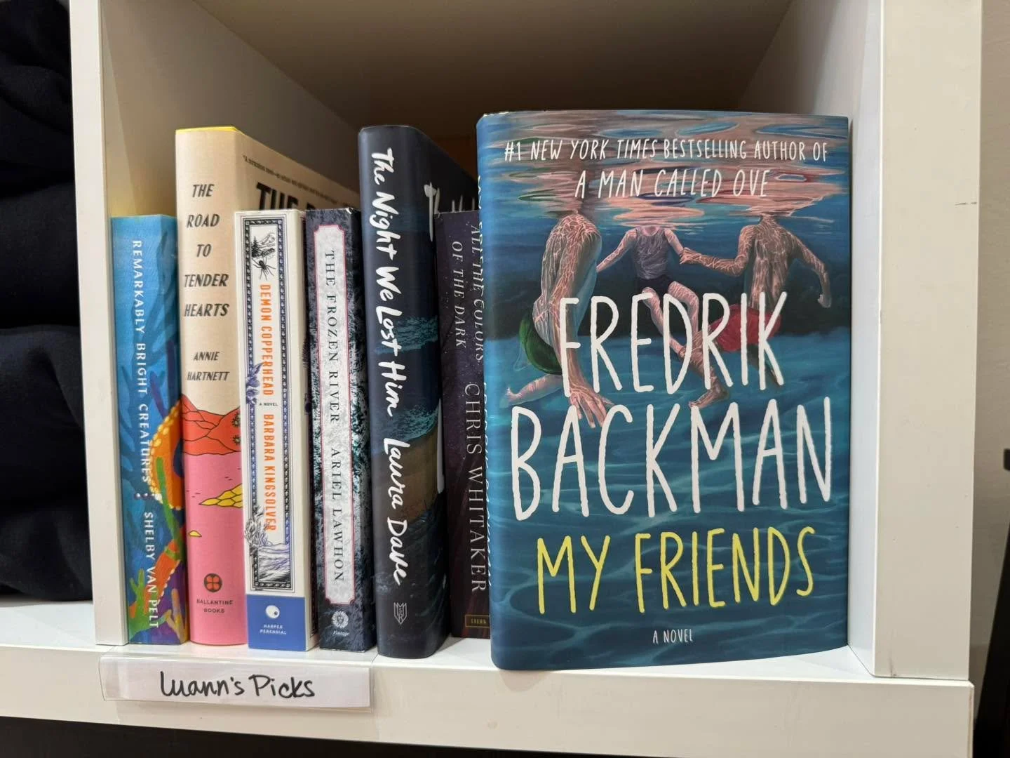 📚Staff Picks Series:
You know the kinds of books that you finish and immediately what to talk to someone else about? Those books live on Luann&rsquo;s staff picks shelf. She is an expert on big-hearted literary fiction &mdash; stories about flawed p