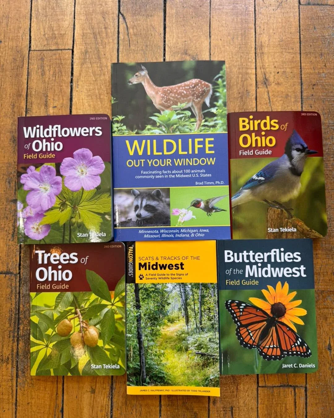 🌿Introducing the Analog Summer Challenge 

Each Friday, we'll share a book, activity, or simple adventure designed to help you slow down, notice more, and make the most of the season. From nature walks and field guides to journaling, puzzles, readin