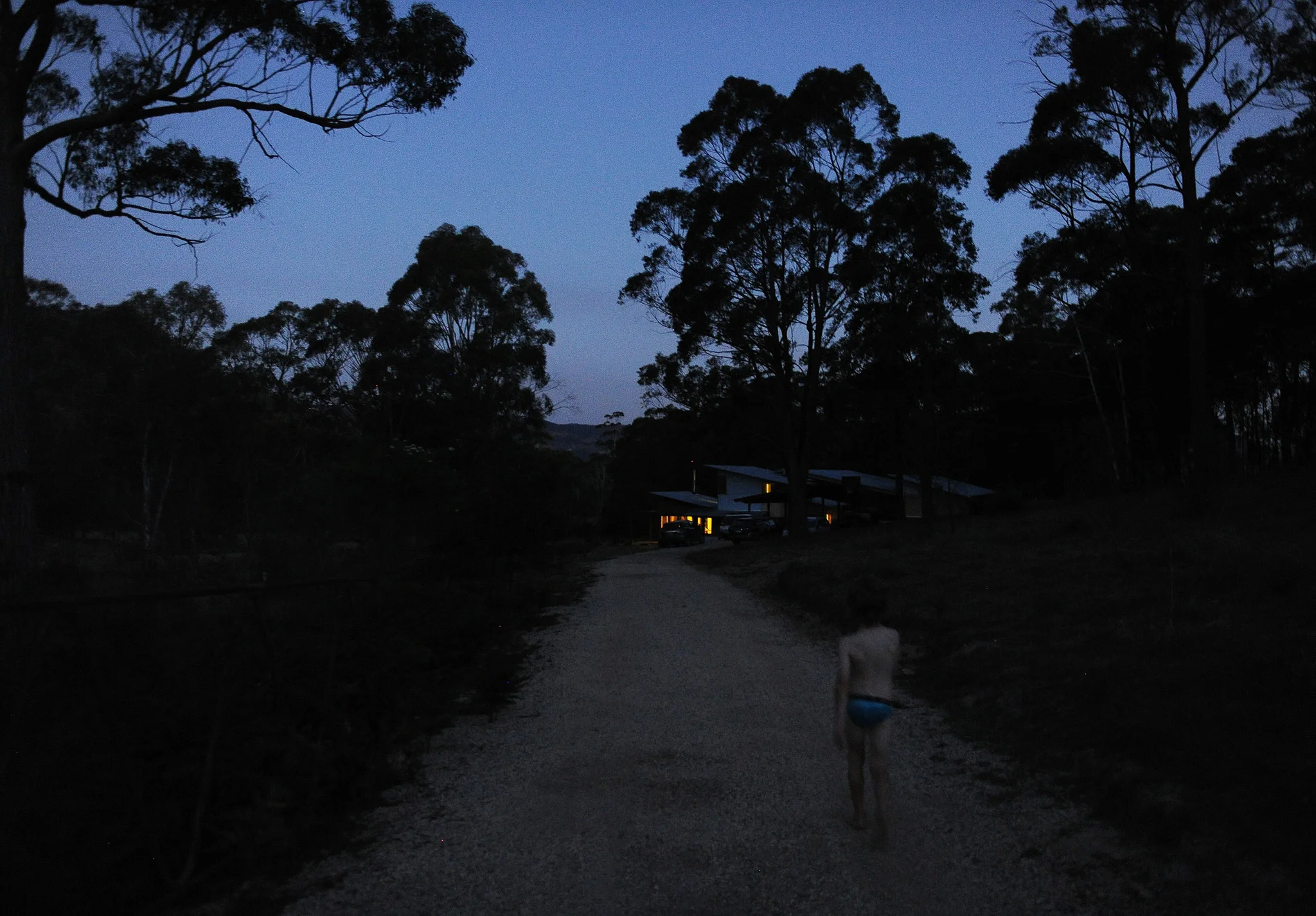 DSC_2914-COPY copy.jpg