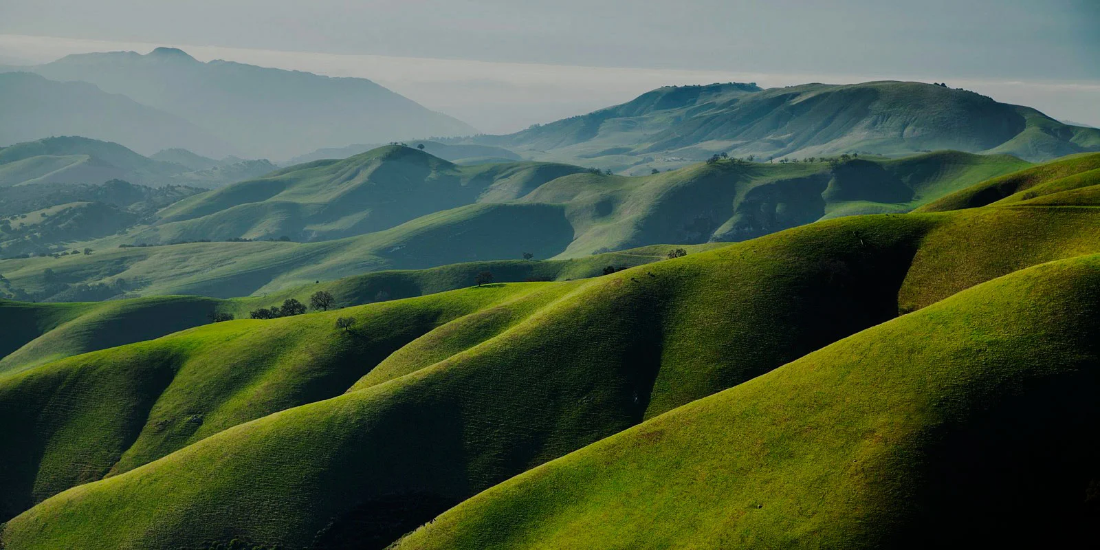 salinas_valley.jpg