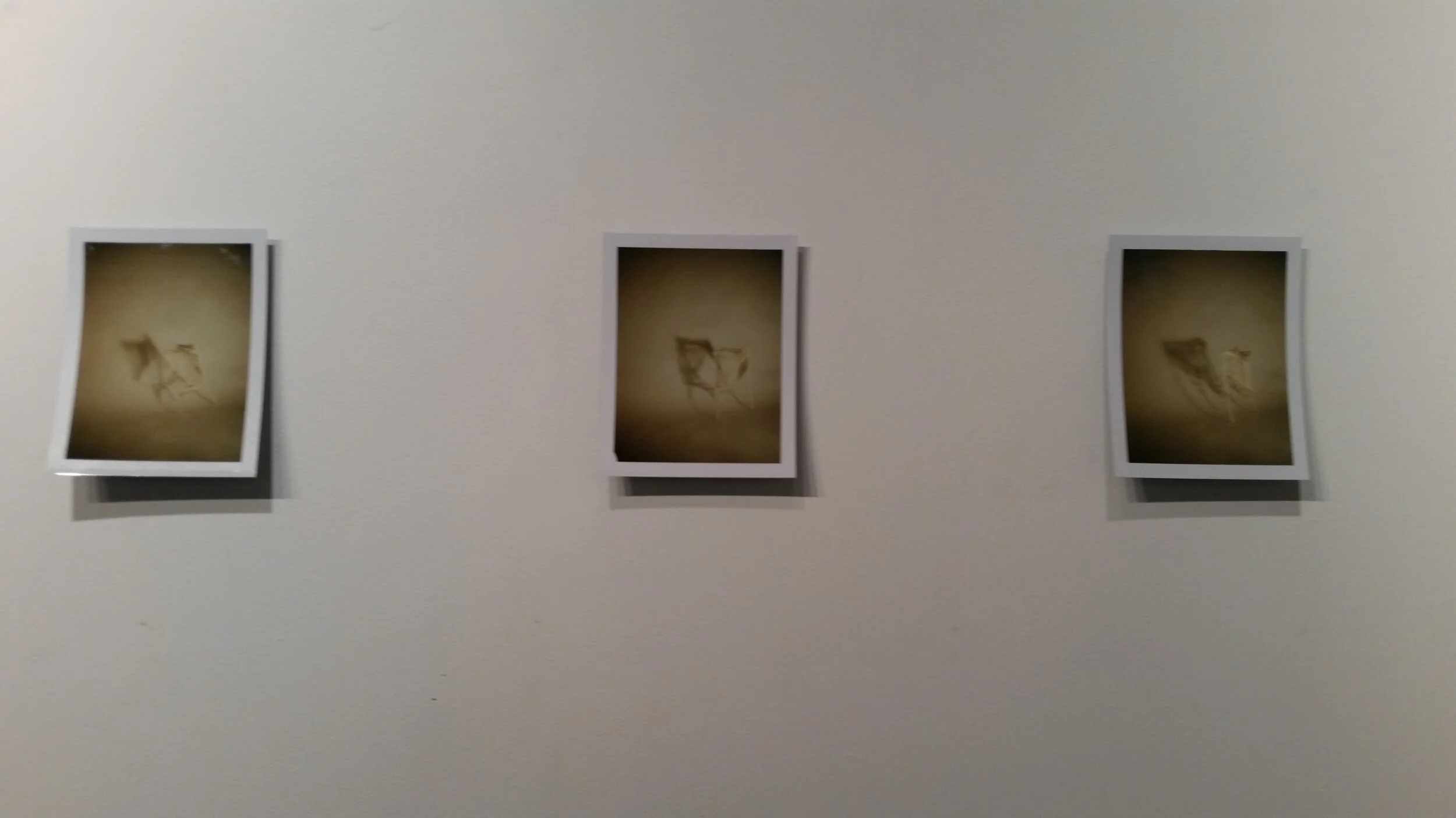 20150701_192245.jpg