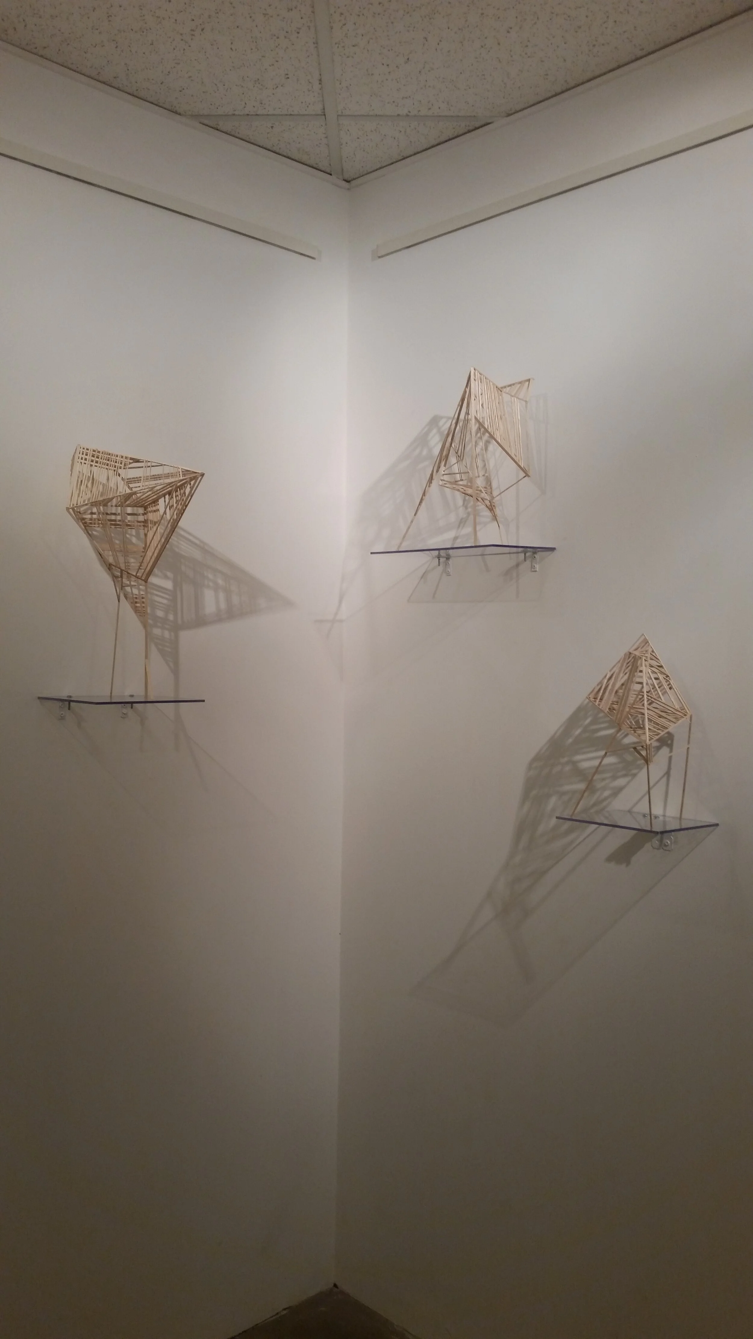 20150701_192406.jpg