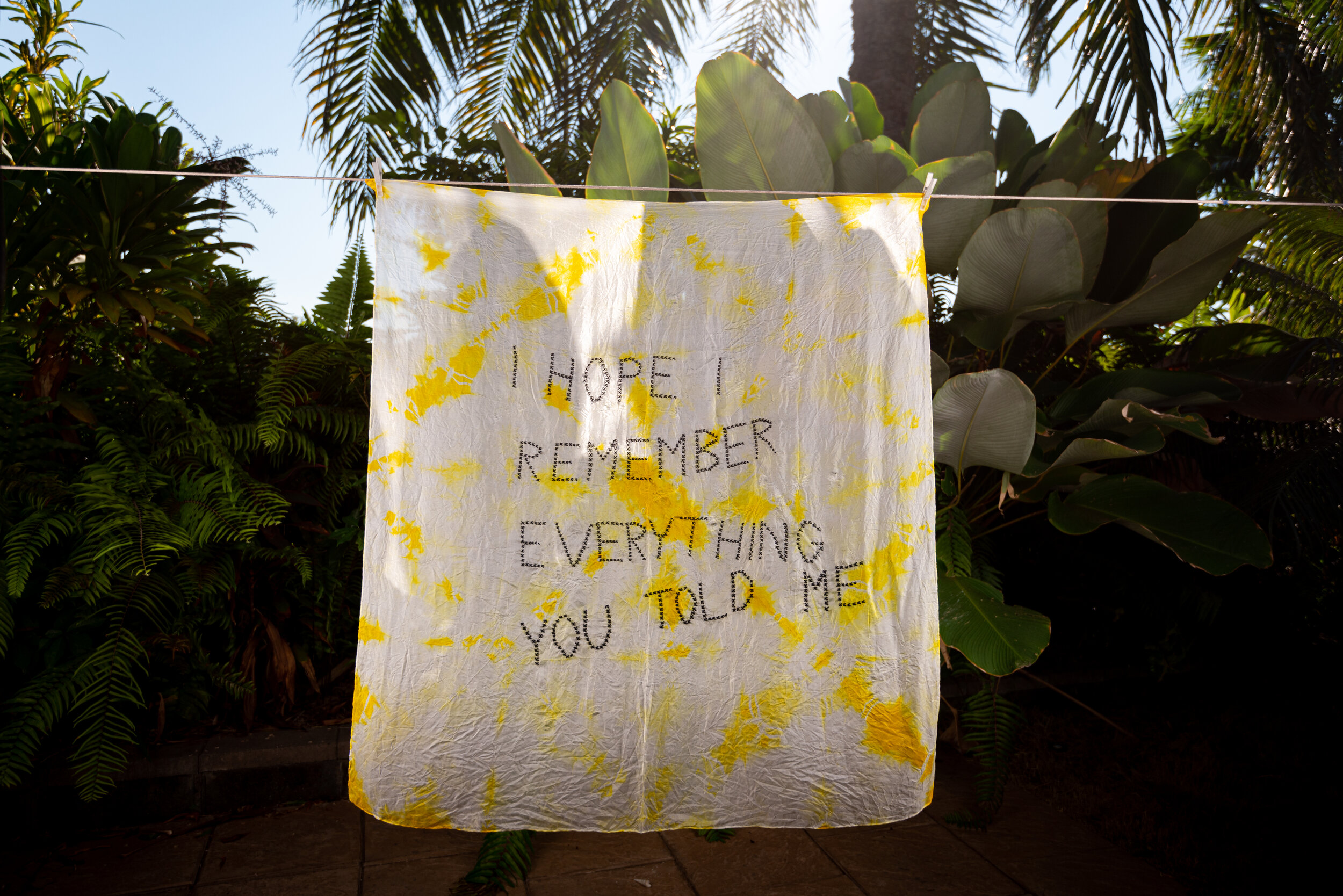 I Hope I Remember...