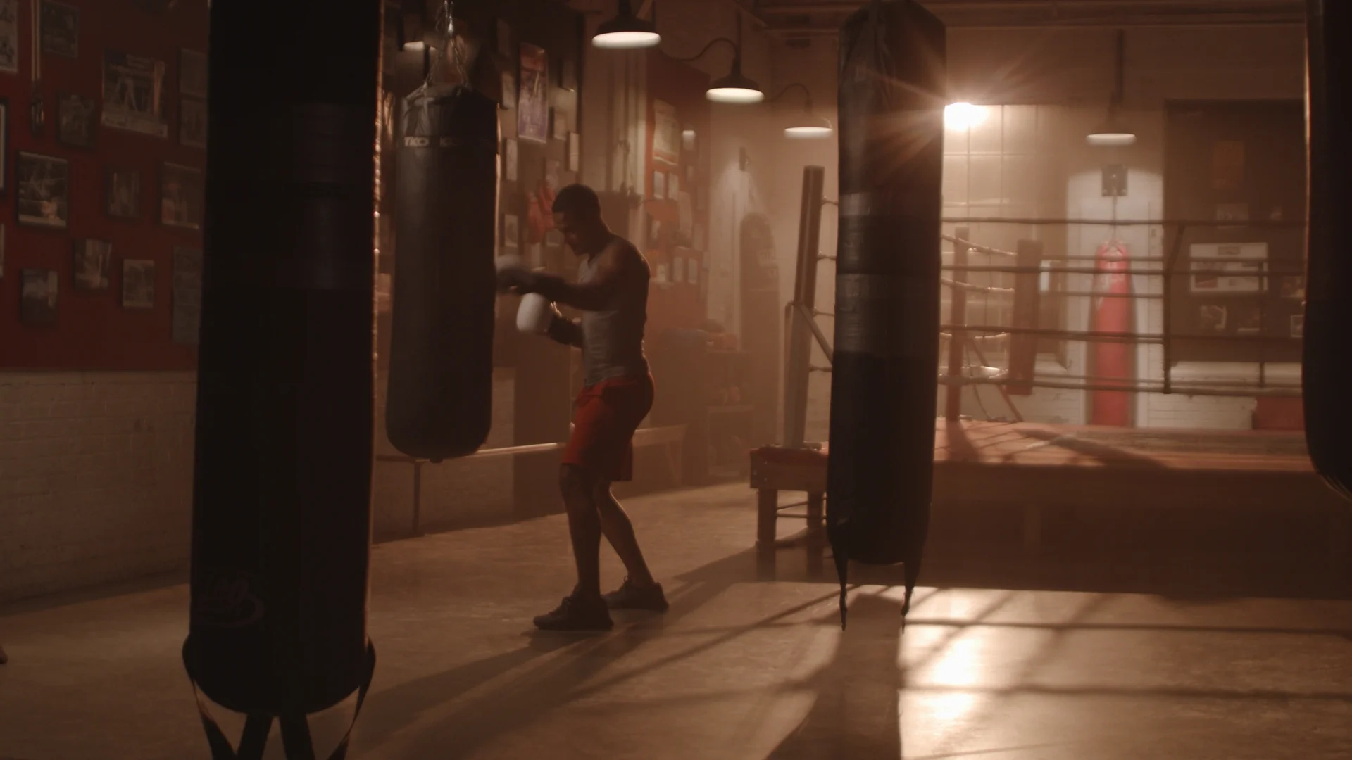 still test 12_1.10.1.jpg