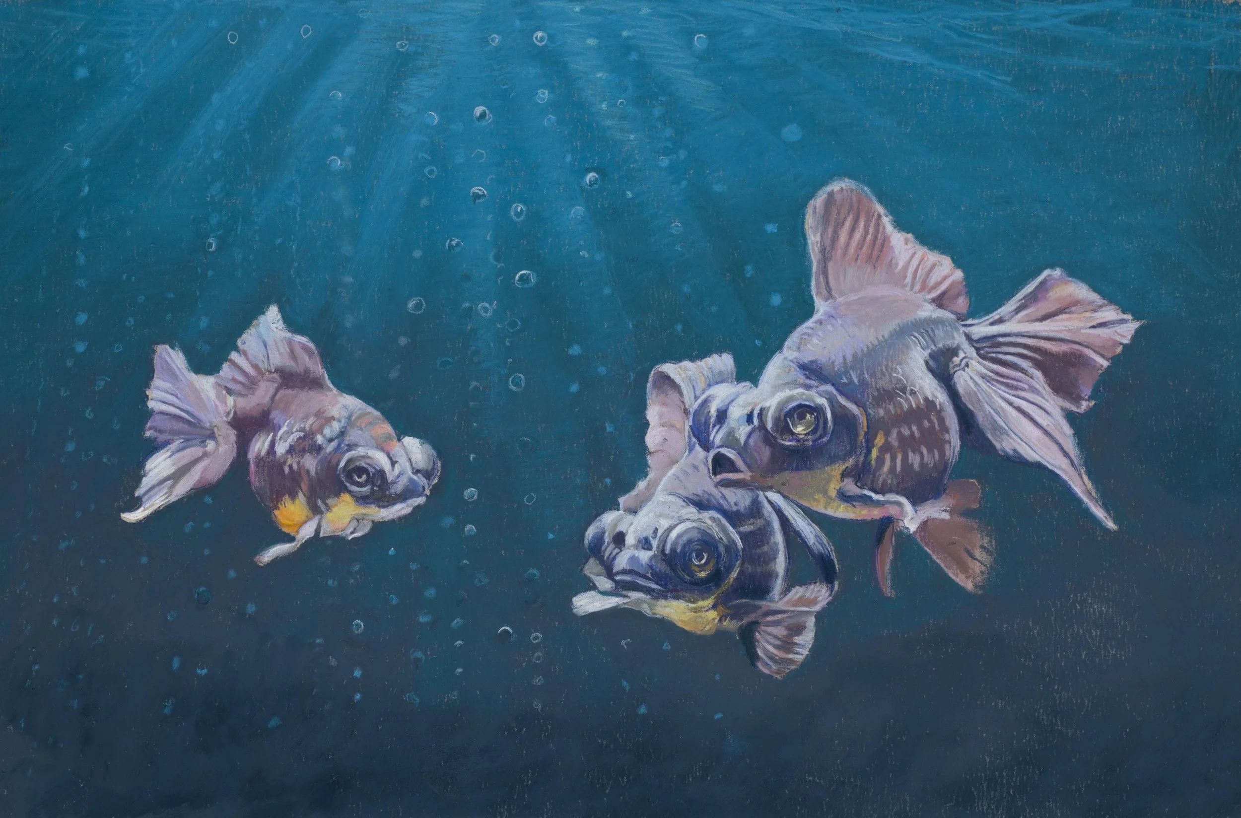 hardcastle 1 31 23 c.jpg