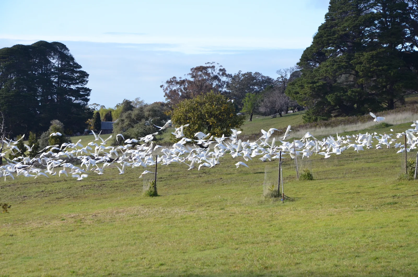 DSC_1083.jpg