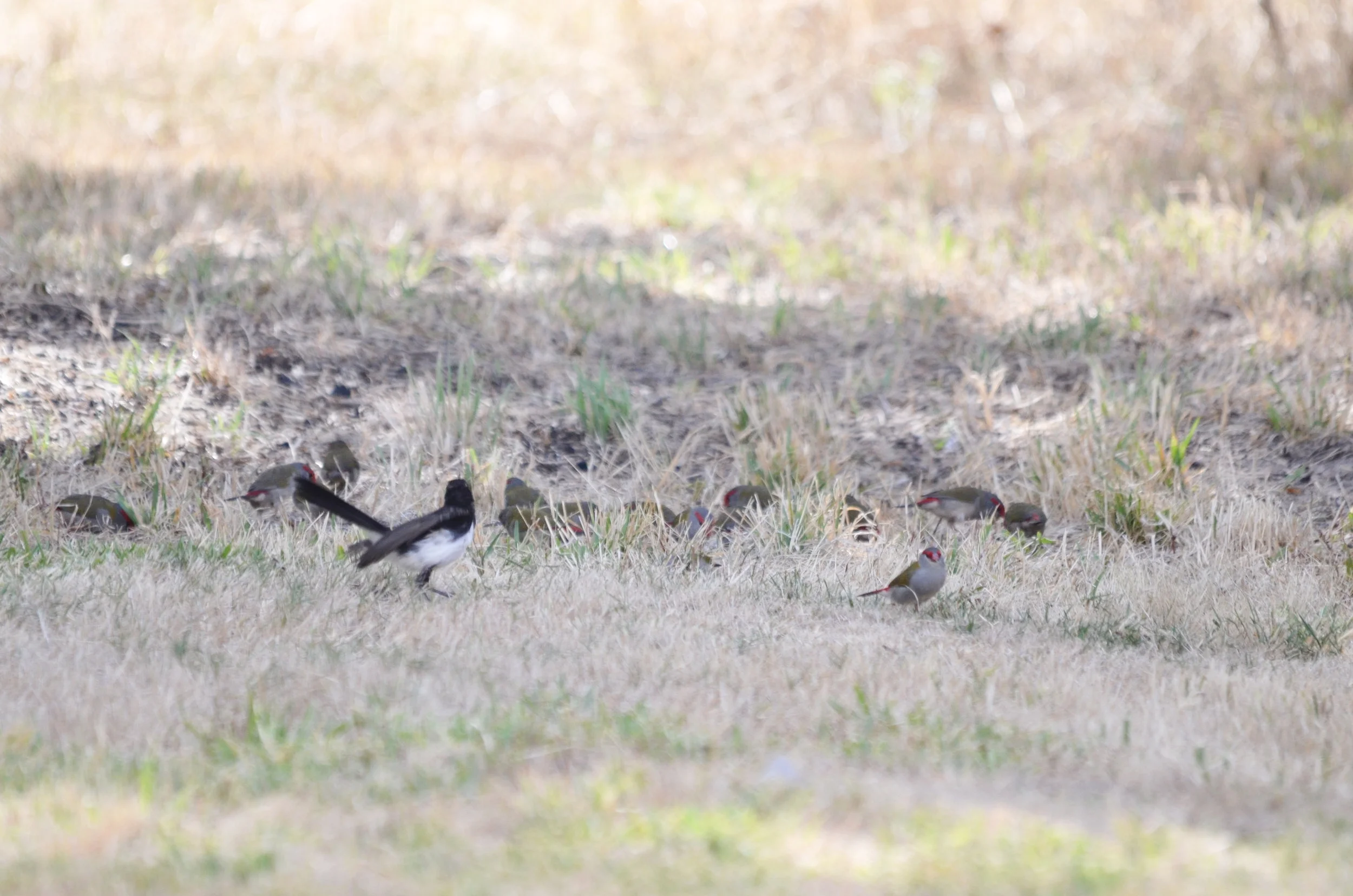 DSC_1723.jpg