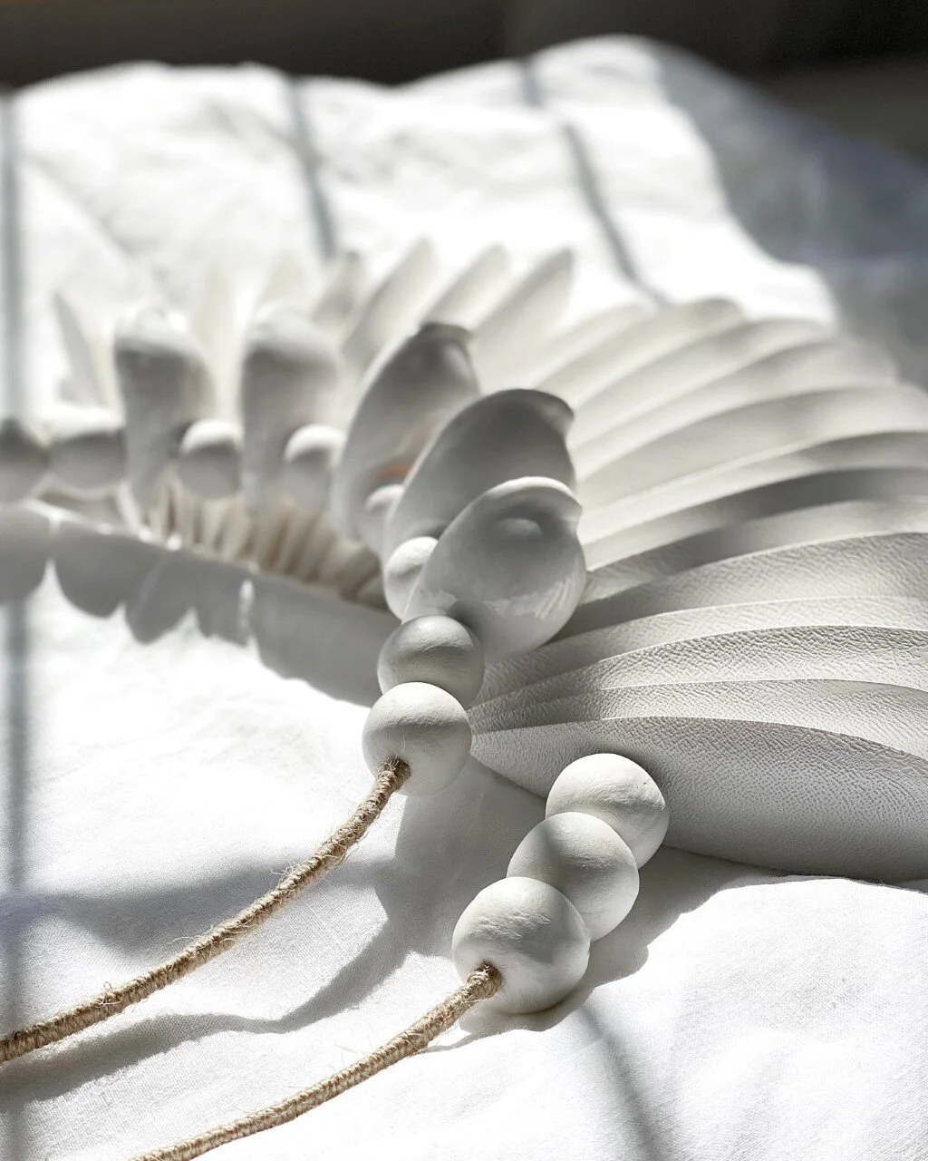 cuttle and cowrie white med lay down.jpg