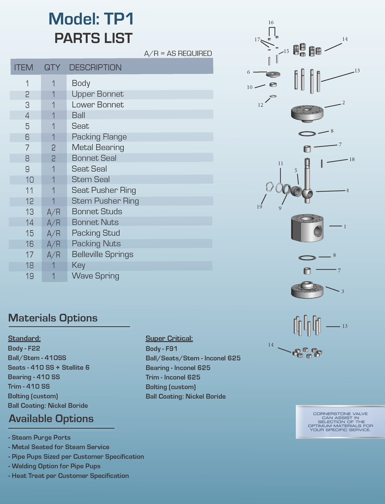  TP1 valve - brochure design and production for &nbsp;power gen. industry by somya gupta. 