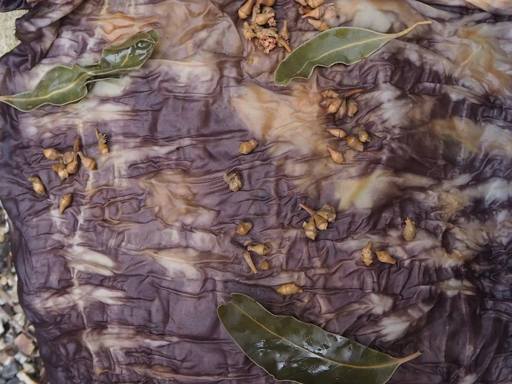 Natural Dye Journal eucalyptus leaves & seedpods — Petalplum