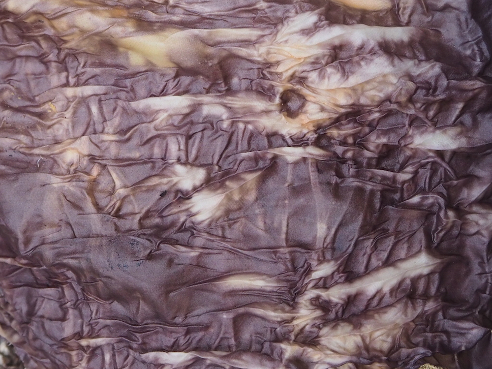 Natural Dye Journal : eucalyptus leaves & seedpods — Petalplum