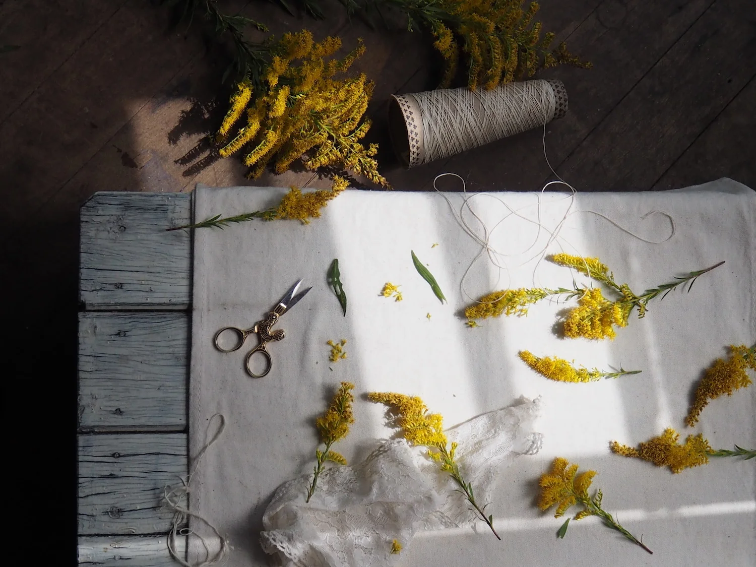 Ellie Beck natural dye with golden rod flowers.jpeg