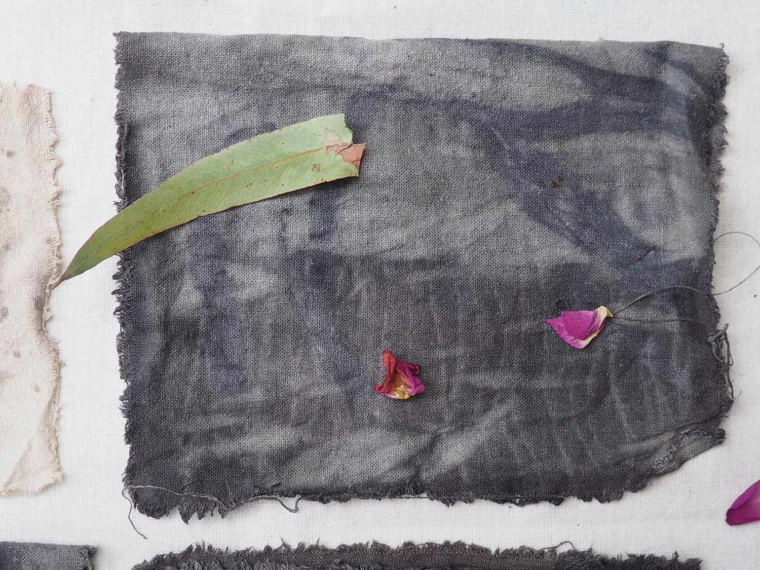 Ellie Beck Naturally dyed linen rust iron dyeing iron mordant web size.jpeg