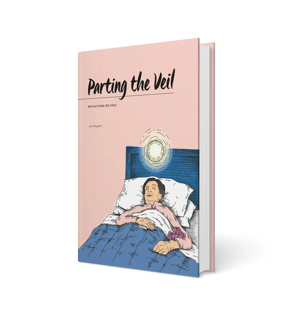 Parting-the-Veil-Book-cover.jpg