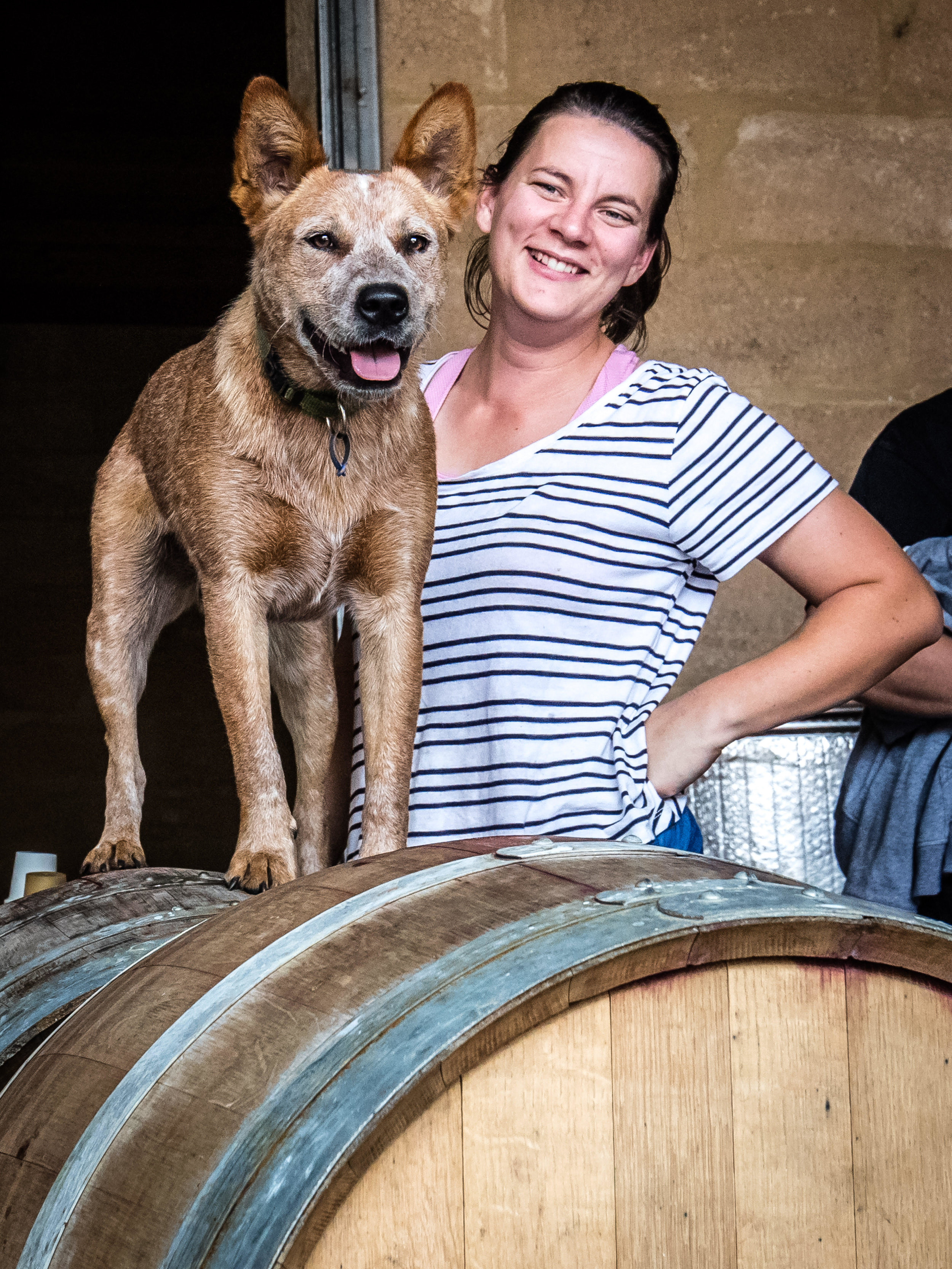 Vintage update 2019 from Mel Chester, Sutton Grange in the Bendigo Region
