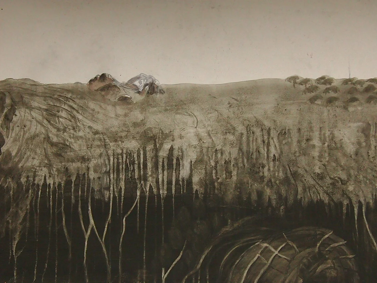 Croqland - The Border Range,  2013, 70 x 50cm, inkwash on paper