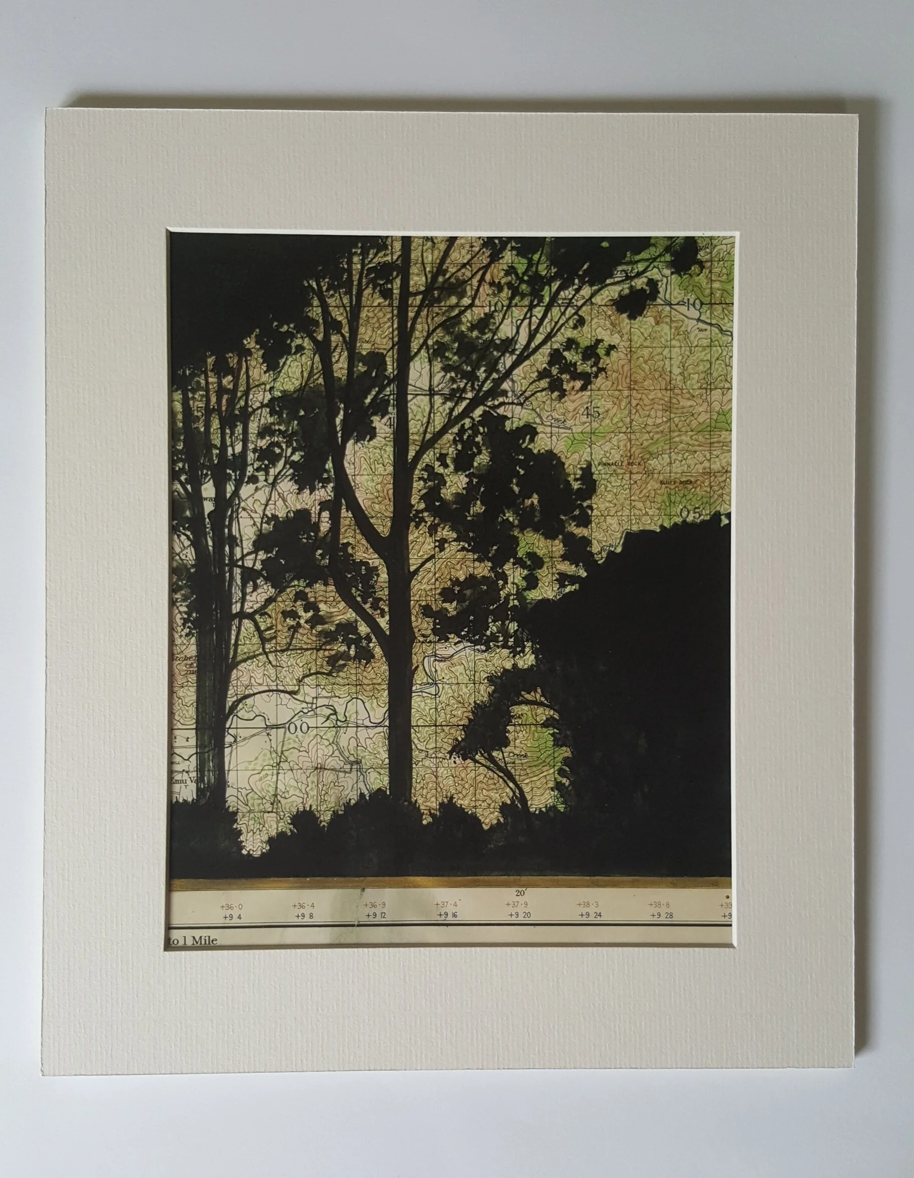 BneRiver_from_Jindalee_Skatepark_matted.jpg
