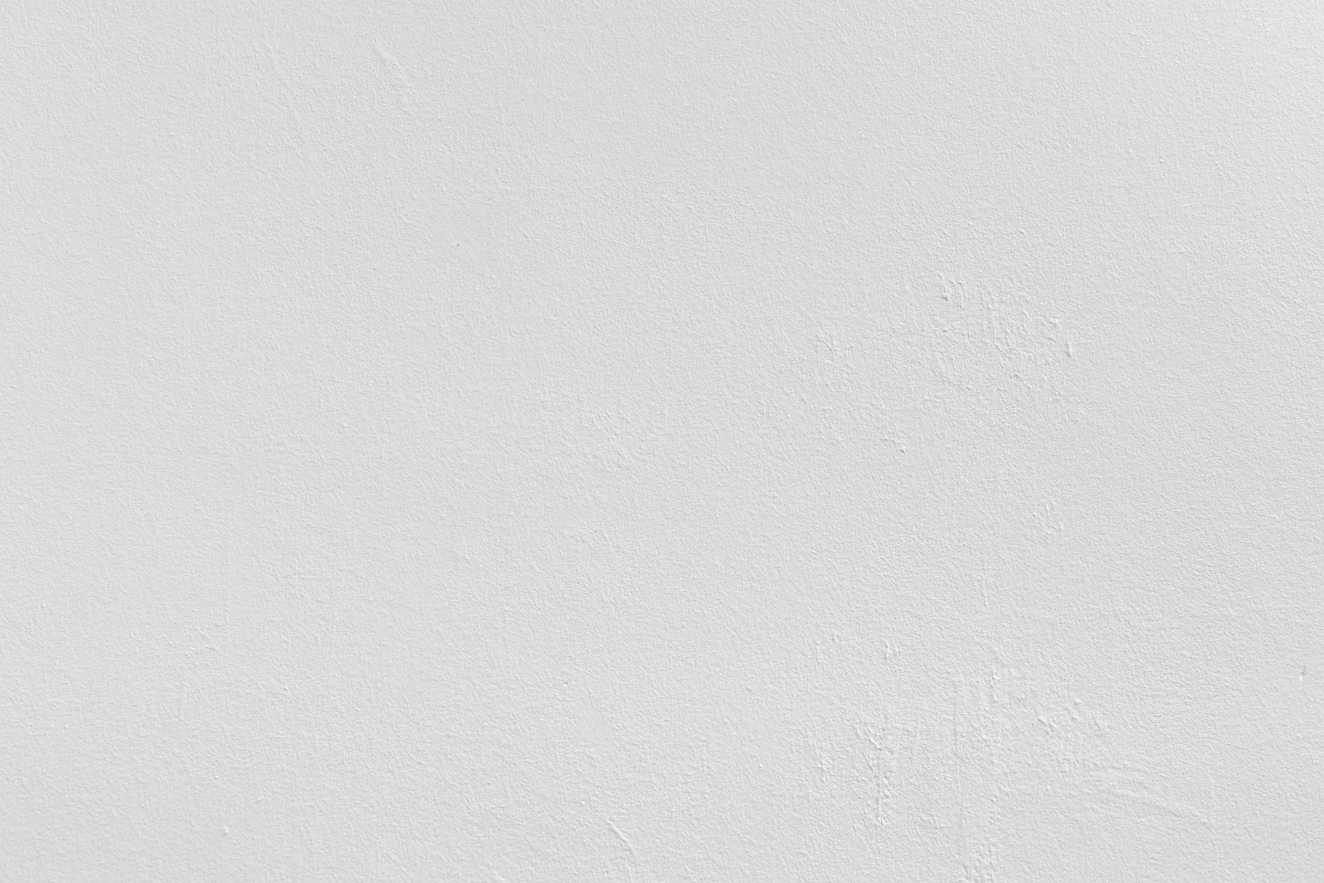 white-1866105_1920.jpg